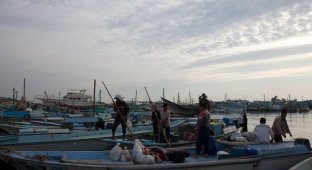 Рыбная пристань и рыбный рынок (28 фото)