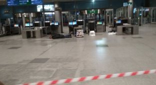 В аэропорту Домодедово пассажир заявил о бомбе в сумке (2 фото)