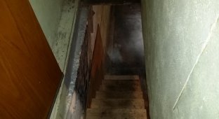 Неожиданная находка в подвале нового дома (14 фото)