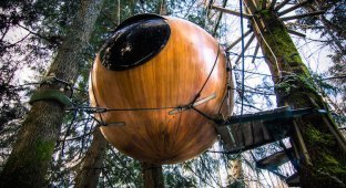Этот канадский отель со сферическими домиками предлагает вам спать на деревьях (9 фото)