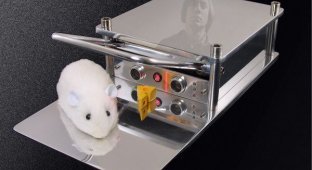 Better Mousetrap - мышеловка в мире высоких технологий (фото + видео)