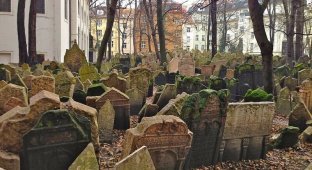 Многослойное еврейское кладбище в Праге (8 фото)