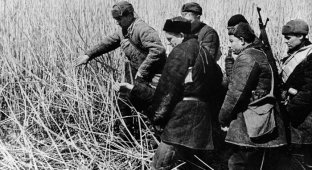 Трогательные фотографии времен Великой Отечественной войны (12 фото)