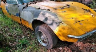 50-летний лимитированный Chevrolet Corvette, найденный в трущобах, продают на eBay (15 фото)