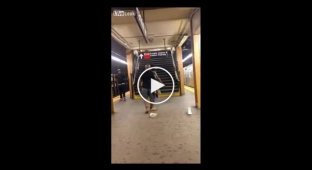 Драка в Нью-Йоркском метро
