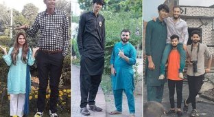 Пакистанский гигант станет самым высоким в мире игроком в крикет (10 фото)