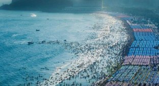 Пляжный сезон в Китае (8 фото)