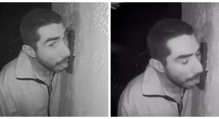 В Калифорнии скрытая камера зафиксировала парня, который три часа ублажал языком дверной звонок (3 фото + 1 видео)
