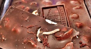 Шоколад Бабаевский с фундуком (4 фото) (жесть)