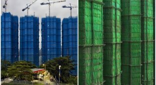 Коконоподобные строительные леса Гонконга как особый вид искусства (13 фото)