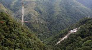 В Колумбии 10 человек разбились насмерть после обрушения строящегося моста (11 фото)