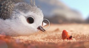 Новый потрясающий короткометражный анимационный фильм от Disney и Pixar