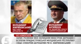 Разговор Жириновского с террористом ДНР