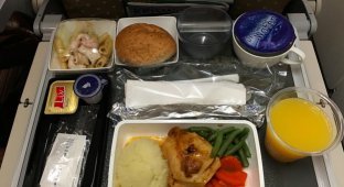 Еда в самолете: бизнес-класс против эконома на примере 20 авиакомпаний (38 фото)
