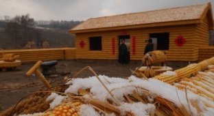 Китайский крестьянин строит ферму из кукурузы (10 фото + 1 видео)