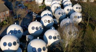 Уникальные дома-шары в Нидерландах (11 фото)