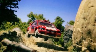 Автомобильные диорамы на тему WRC (19 фото)