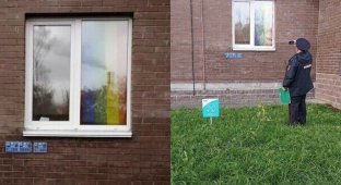 Активист заметил в окне чужой квартиры радужные шторы и потребовал их снять (7 фото)