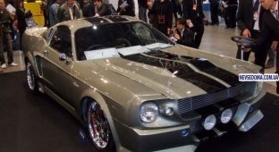 Ford Mustang Shelby GT500 Eleanor на базе Toyota Supra (6 фото)