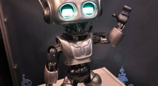 Робот Quasi - "игрушка" для детей за $80.000 (9 фото + видео)