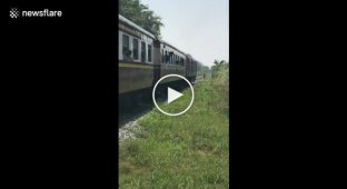 В Таиланде лошадь решила убежать от поезда по рельсам