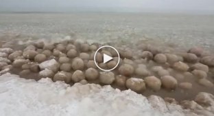 Массовое утопление снеговиков в озере Мичигана