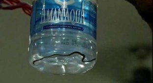 Сюрприз в бутылке воды, раздаваемой на правительственном мероприятии (3 фото)