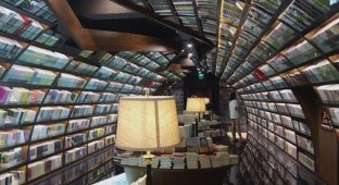 «Бесконечный» книжный тоннель в китайской библиотеке (6 фото)