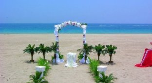 Красивое оформление пляжей на свадьбу (28 фото)