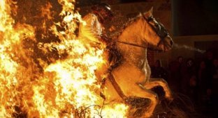 День Святого Антония или лошади в огне (9 фото)