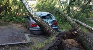 Автомобили, пострадавшие от урагана в Минске (23 фото)