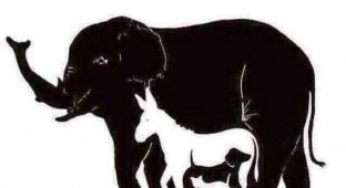 Сколько животных вы видите на этой картинке? (2 картинки)