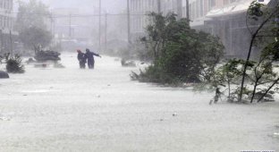Тайфун Моракот (36 фото)