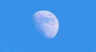 Почему днем иногда видно Луну, а иногда нет? (5 фото + 1 гиф)