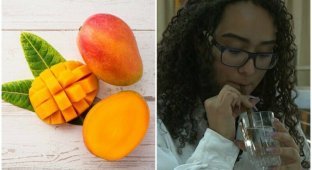 Соломинка из манго заняла первое место на научной ярмарке в Мексике (6 фото + 1 видео)