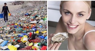 Любители морепродуктов съедают до 11 тысяч частиц пластика в год (3 фото)