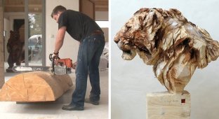 Изумительные скульптуры животных, созданные при помощи бензопилы (21 фото)