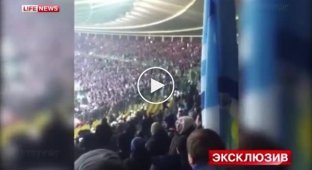 Беспорядки на матче спровоцировали чеченские сепаратисты