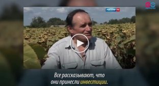 Как роспропаганда нагло использовала фермера из Харьковщины для лживого сюжета