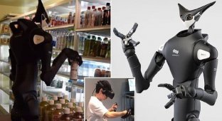 В японских супермаркетах появятся двухметровые роботы-грузчики (4 фото)