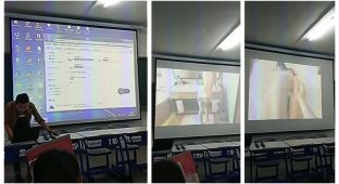 Преподаватель случайно включил порно во время урока (6 фото)