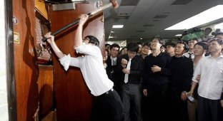  Бойня в корейском парламенте (6 фото + текст)