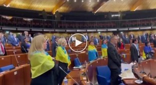 А тем временем, в ПАСЕ впервые в истории звучит гимн Украины