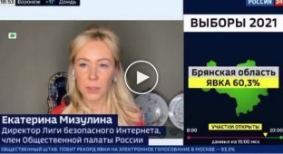 Екатерина Мизулина заявила, что фейки о вбросах на выборах придумывают геи из TikTok