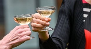 Moet Hennessy приостановил поставки шампанского в Россию из-за нового закона (2 фото)
