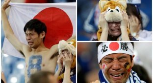"Эмоциональные качели" японских болельщиков на матче Бельгия — Япония (15 фото)