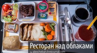 Еда на борту самолета (59 фото)