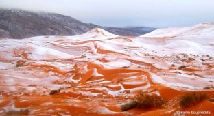 В пустыне Сахара выпал снег (9 фото)