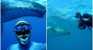 Дайвер снял зрелищное видео-селфи с горбатым китом (4 фото + 1 видео)