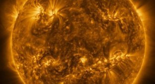 Зонд Solar Orbiter сделал самые детализированные снимки Солнца в истории (6 фото)